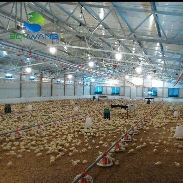 Casa de granja de pollo prefabricada moderna de bajo costo de construcción de cobertizo para avicultura